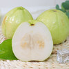【好物推荐】福建白心芭乐 4.5斤装 商品缩略图4
