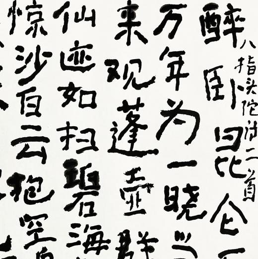 曾翔书法·八指头陀诗二首 商品图4