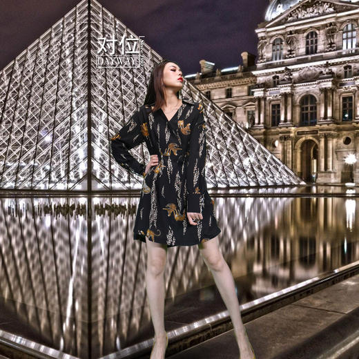 集拉米卡SQS8PA_真丝裙_ZK 商品图1