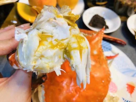 【海味】舟山梭子蟹  3斤装5斤装  码头直发到手更新鲜 商品图0