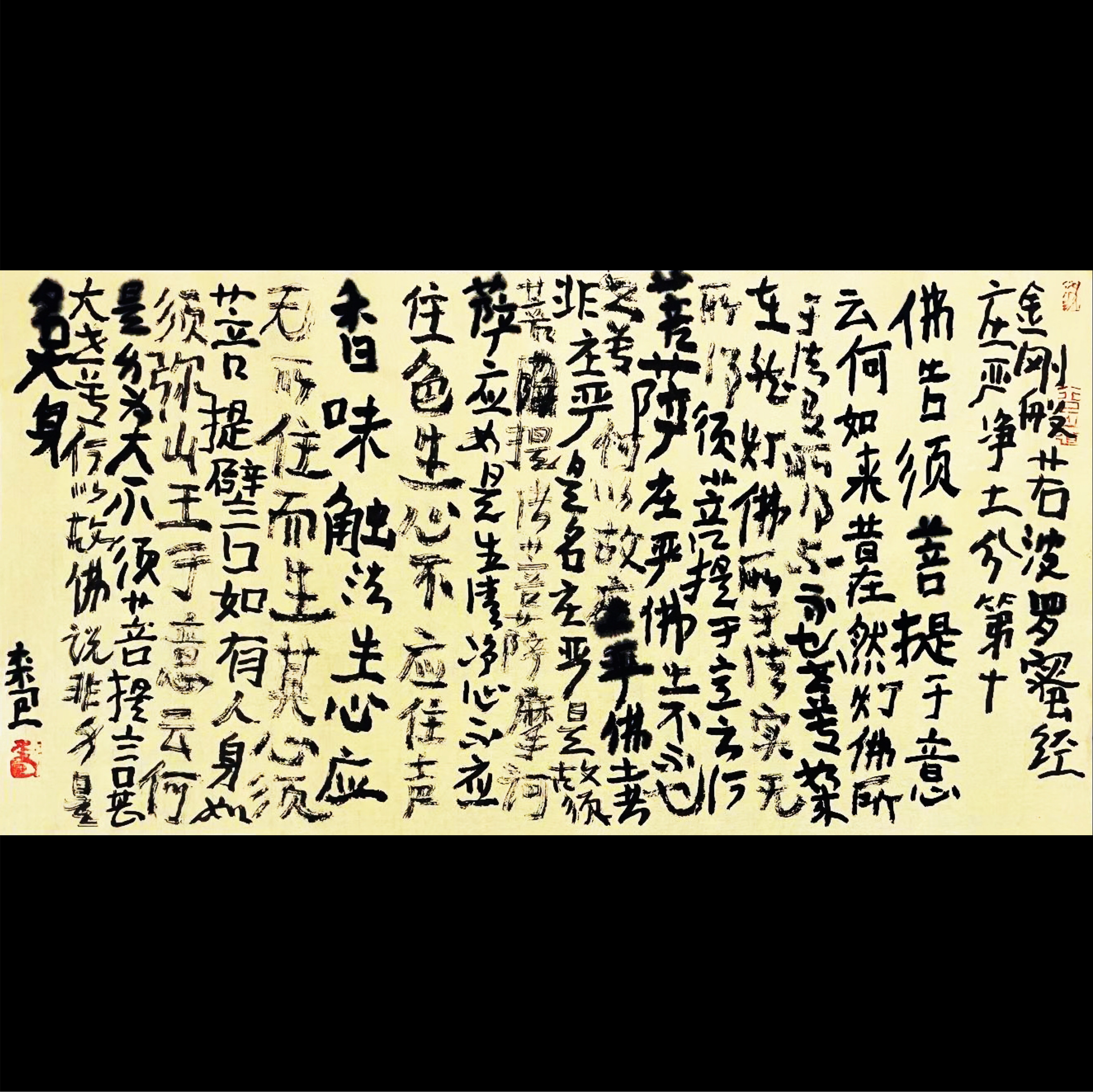 曾翔书法·《金刚般若波罗蜜经》庄严净土分第十