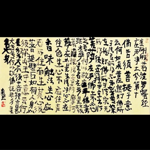 曾翔书法·《金刚般若波罗蜜经》庄严净土分第十 商品图0