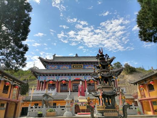 【甘肃青烟寺】甘肃特产 高原红枸杞、黑枸杞 商品图3