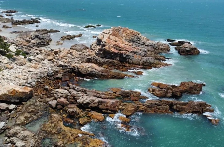 惠州|赶海季!达人带队,碧海湾赶海 两天