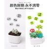 玩具先生超级黏土多肉DIY套装系列 仿真盆栽彩泥儿童手工制作材料包 商品缩略图2