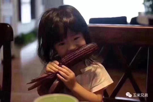 熊佑—有机黑糯玉米——非转基因，花青素含量超高，带皮带须，原汁原味！煮的时候连皮一起蒸、煮喔口感超嫩，糯糯的，甜甜的，还原玉米最初的味道！ 商品图4