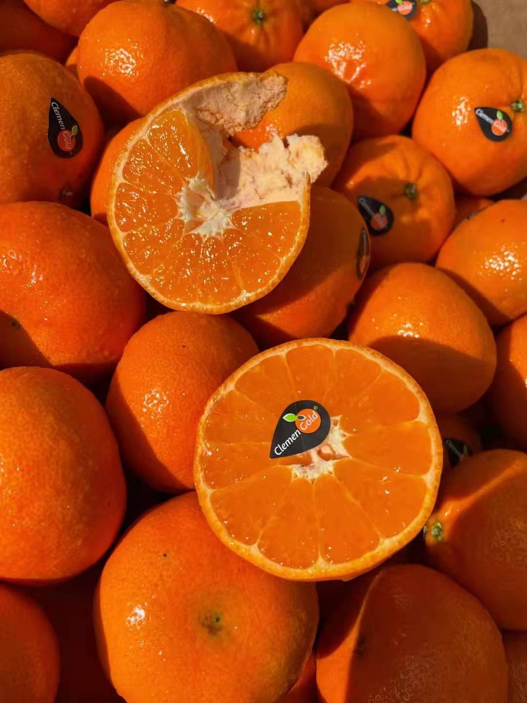 南非醉受食客青睐的柑,南非柑中的佼佼者皮薄无籽,果肉细腻,酸甜多汁