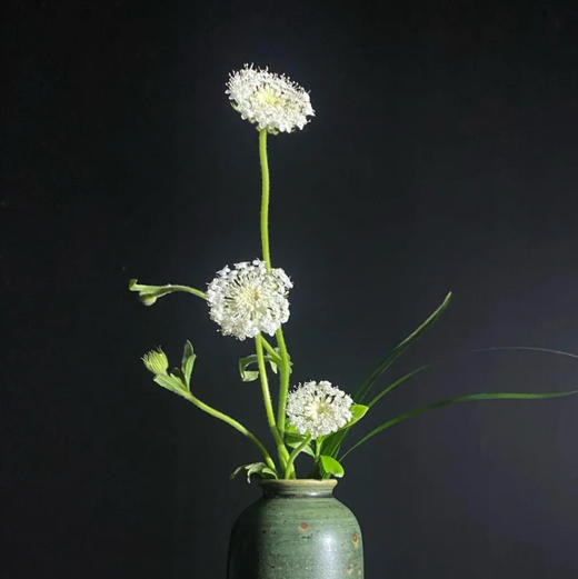 配花-翠珠花-白色 商品图0