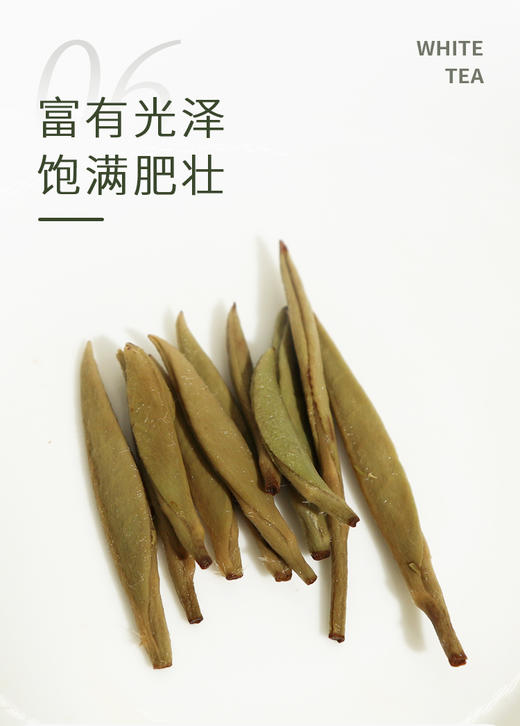 白毫银针 2021年  25克/500克散装收藏 福建高山头采米针 商品图5