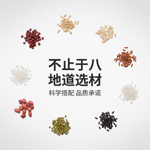 天造地设元气八宝粥400g 多重营养 一步到位 商品图1