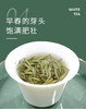 白毫银针 2021年  25克/500克散装收藏 福建高山头采米针 商品缩略图3