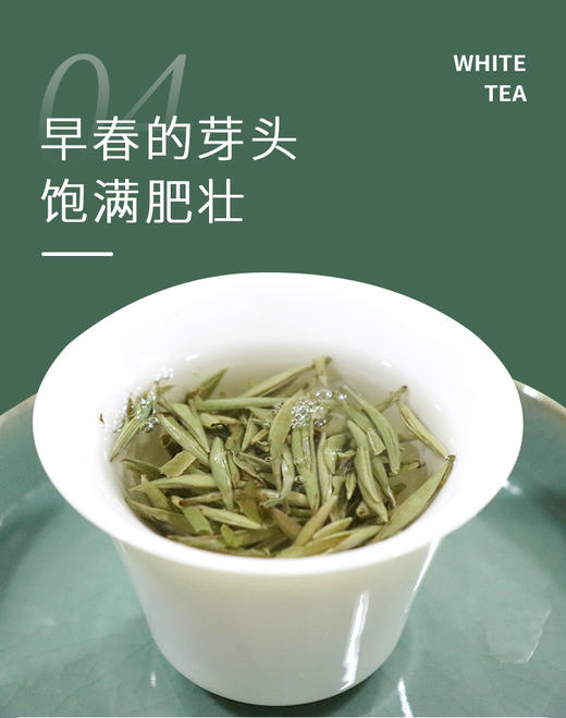 白毫银针 2021年  25克/500克散装收藏 福建高山头采米针 商品图3