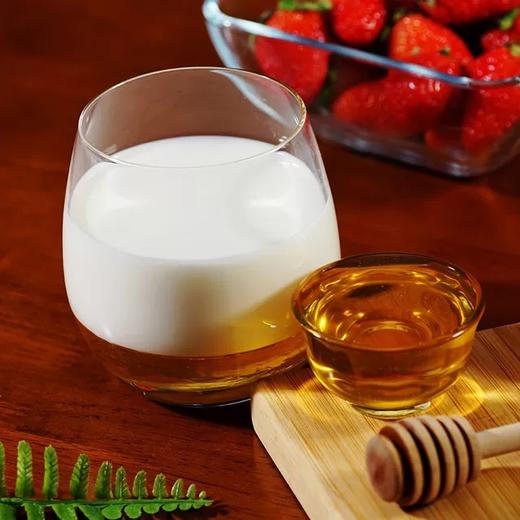 北大荒东北黑蜂椴树蜜10g*12袋/盒 商品图3