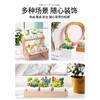 玩具先生超级黏土多肉DIY套装系列 仿真盆栽彩泥儿童手工制作材料包 商品缩略图4
