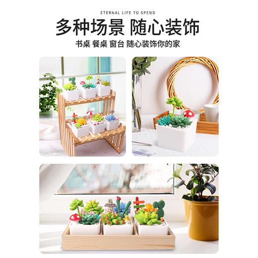 玩具先生超级黏土多肉DIY套装系列 仿真盆栽彩泥儿童手工制作材料包 商品图4