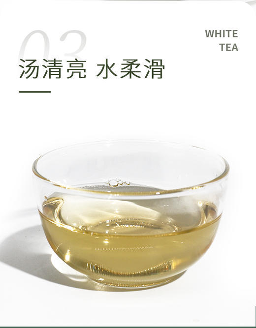 白毫银针 2021年  25克/500克散装收藏 福建高山头采米针 商品图2
