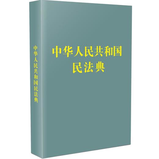中华人民共和国民法典 商品图0