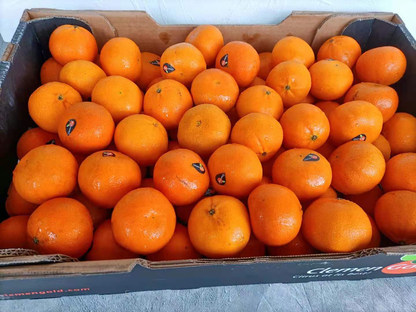 南非醉受食客青睐的柑,南非柑中的佼佼者皮薄无籽,果肉细腻,酸甜多汁