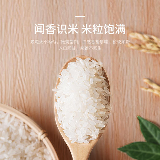 五常大米  2.5kg 大自然馈赠的天然好米  出自黑龙江五常 饱满清透 筋糯清甜 香气浓郁 商品图3