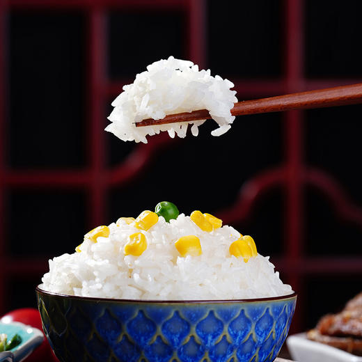 首米 五常大米 农户直采 5KG/袋 商品图4