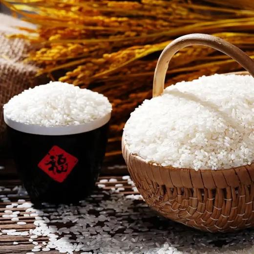 首米 五常有机大米  5kg/袋 商品图4