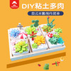 玩具先生超级黏土多肉DIY套装系列 仿真盆栽彩泥儿童手工制作材料包 商品缩略图0