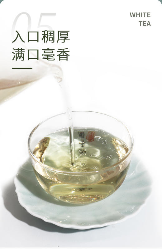 白毫银针 2021年  25克/500克散装收藏 福建高山头采米针 商品图4