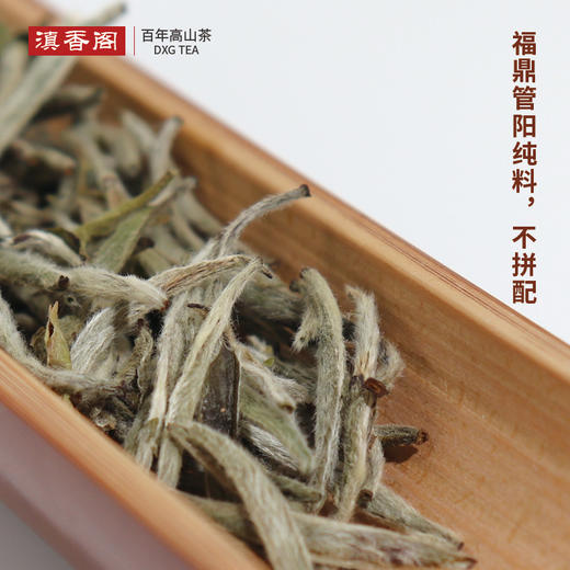 白毫银针 福鼎管阳纯料 出口德国 25克/罐 商品图4