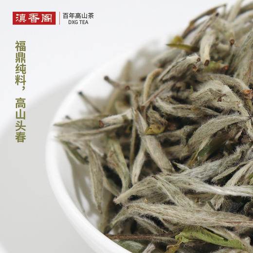 白毫银针 福鼎管阳纯料 出口德国 25克/罐 商品图11