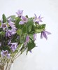 【星河】进口铁线莲  紫色  5枝/扎 商品缩略图6