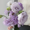 配花-云南龙胆（洋桔梗）-波浪紫-0.8kg 商品缩略图0
