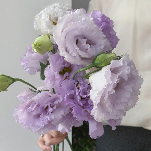 配花-云南龙胆（洋桔梗）-波浪紫-0.8kg 商品图0