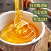 北大荒东北黑蜂椴树蜜10g*12袋/盒 商品缩略图4