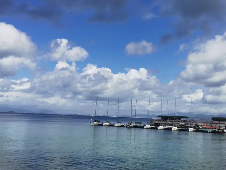 惠州|赶海季!达人带队,碧海湾赶海 两天