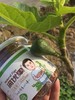有机无花果干 118g 商品缩略图1