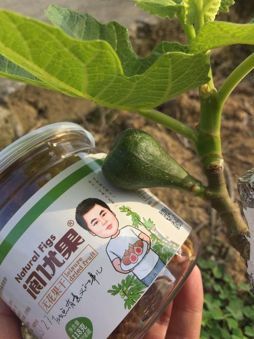 有机无花果干 118g 商品图1