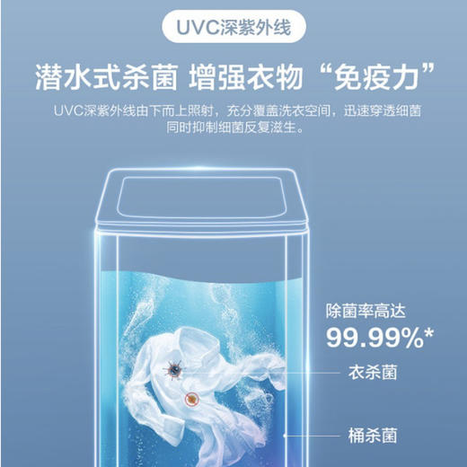 海尔（Haier）洗衣机XQS100-BZ156 商品图10