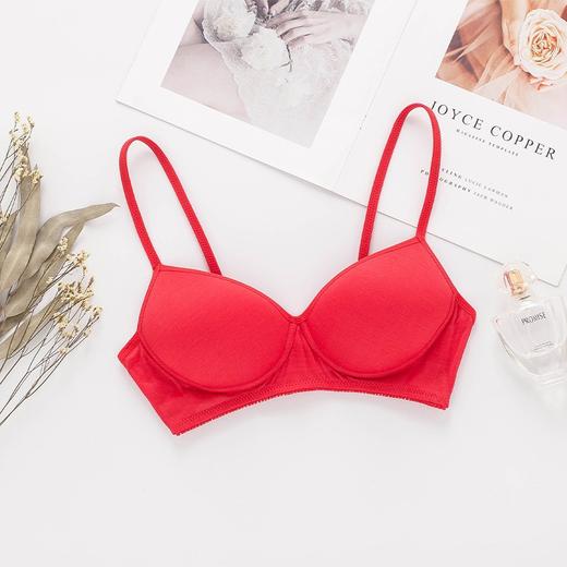 ARN-X001无钢圈内衣夏季薄款桑蚕丝小胸文胸女士胸罩运动少女真丝文胸 商品图7