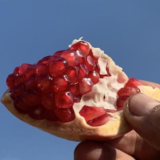 会理突尼斯软籽石榴   5-8斤装 商品图1