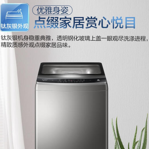 海尔（Haier）洗衣机MB100-F058 商品图2