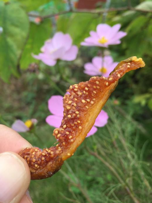 有机无花果干 118g 商品图3