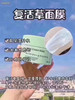日本Bb LABORATORIES复活草水洗修复面膜巨补水175g 商品缩略图5