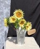 奶油向日葵 5枝/扎   商品缩略图7