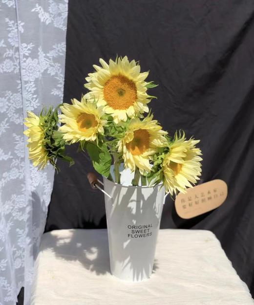 奶油向日葵 5枝/扎   商品图7