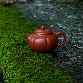 宜兴龙德堂陶艺 汤宣武《玉壶冰心》原矿大红袍 170 cc