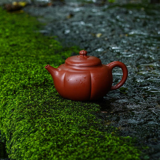 宜兴龙德堂陶艺 汤宣武《玉壶冰心》原矿大红袍 170 cc 商品图0