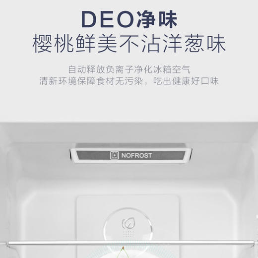 海尔（Haier）冰箱BCD-223WDPT 商品图10