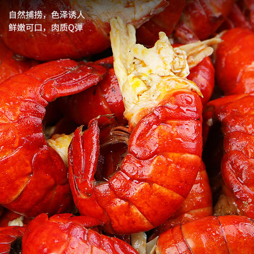 🦞潜江小龙虾虾尾· 活虾速冻 ·无冰衣 · 口感筋道 · 新鲜好脱壳（约3斤装） 商品图2