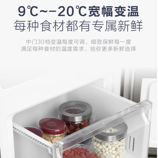 海尔（Haier）冰箱BCD-223WDPT 商品图11