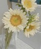 奶油向日葵 5枝/扎   商品缩略图8